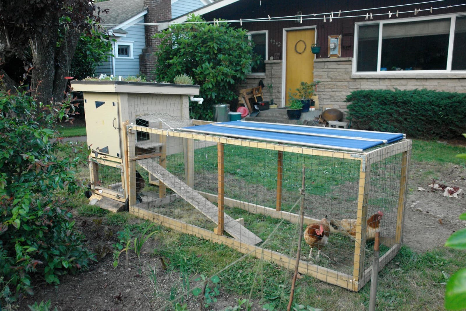 A small backyard coop with a green roof and a wire run, hens scratching in the grass