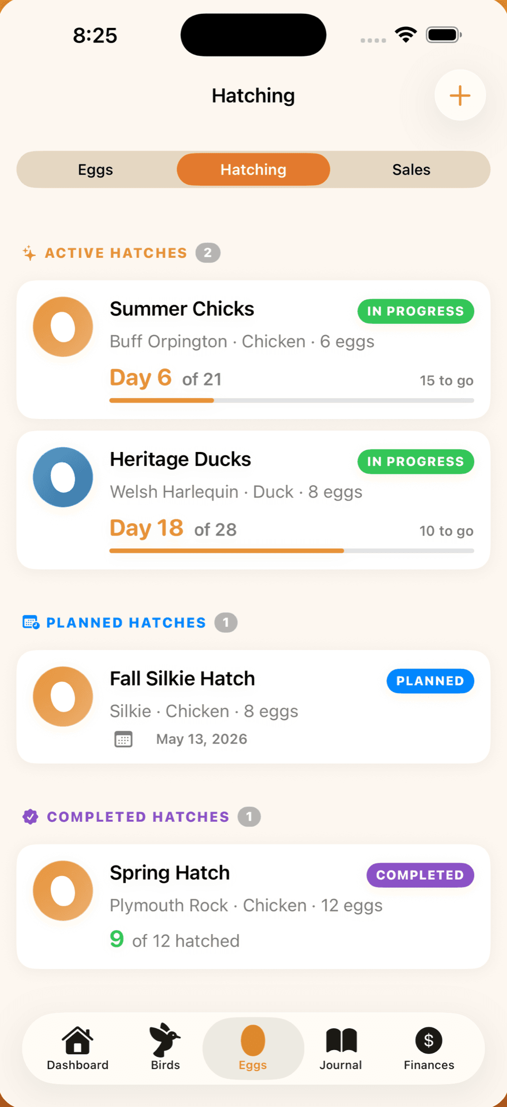 Hatching screen: Summer Chicks on day 6 of 21 and Heritage Ducks on day 18 of 28